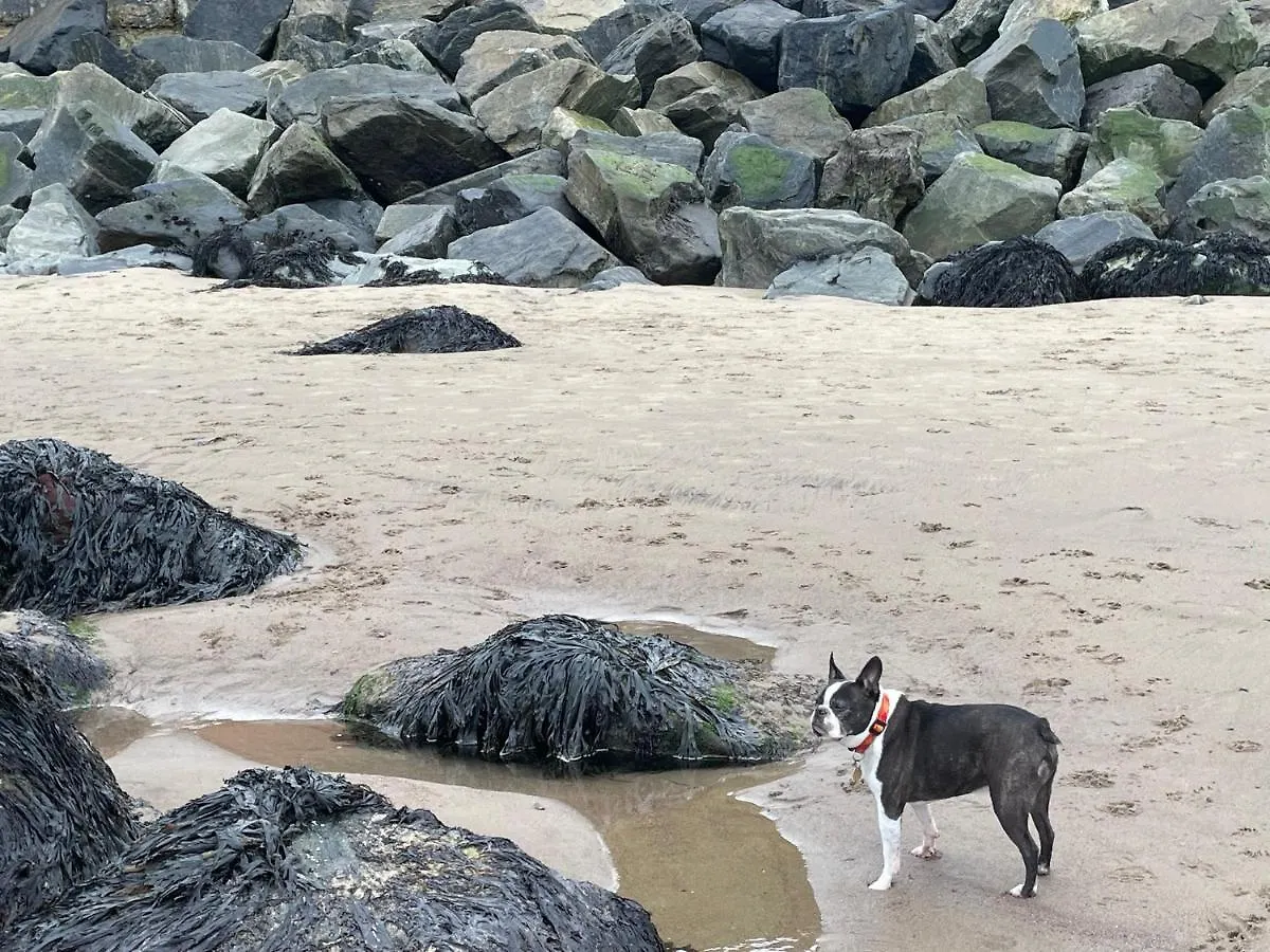 Whitby-Captains House Whitby - 4 Bed Luxury Holiday Home 0*,  المملكة المتحدة